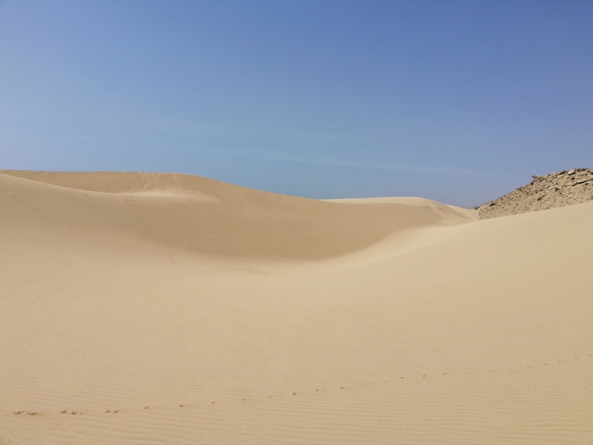 Nature in Agadir  musement