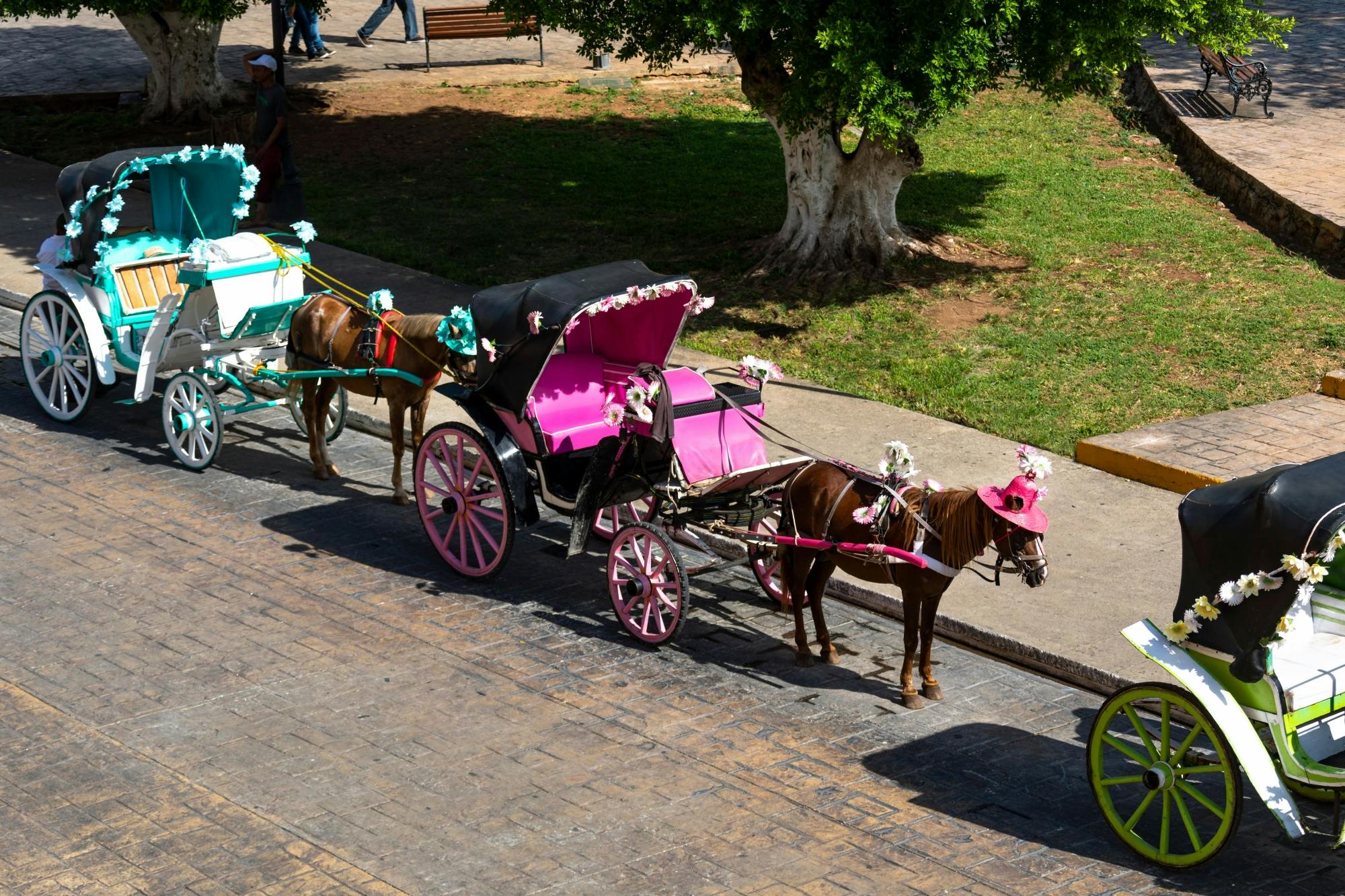 Izamal Magical Town Tour