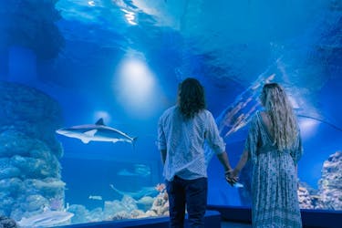 Visite guidée de deux heures au crépuscule de l’aquarium de Cairns et billet d’entrée