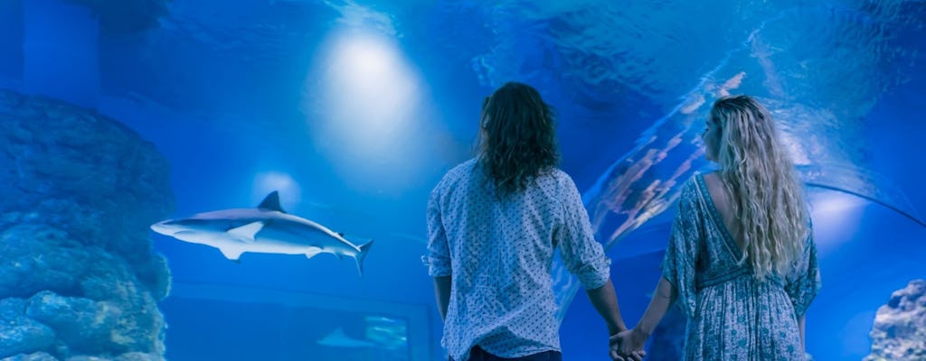 Cairns aquarium twilight two hour guided tour and entrance ticket