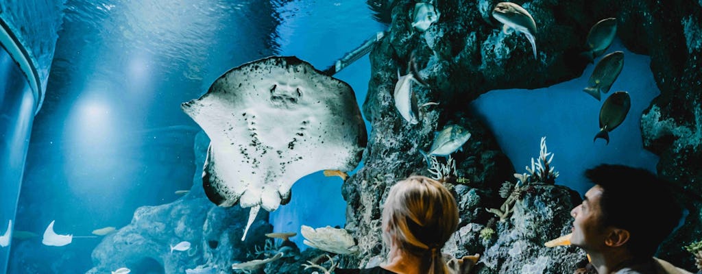 Cairns aquarium zonsopgang rondleiding en toegangsbewijs