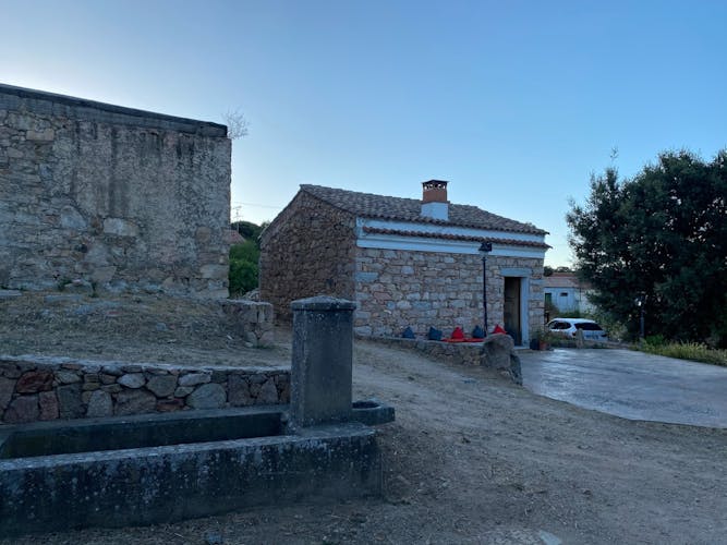 Sardinian pasta workshop and wine experience in an ancient village