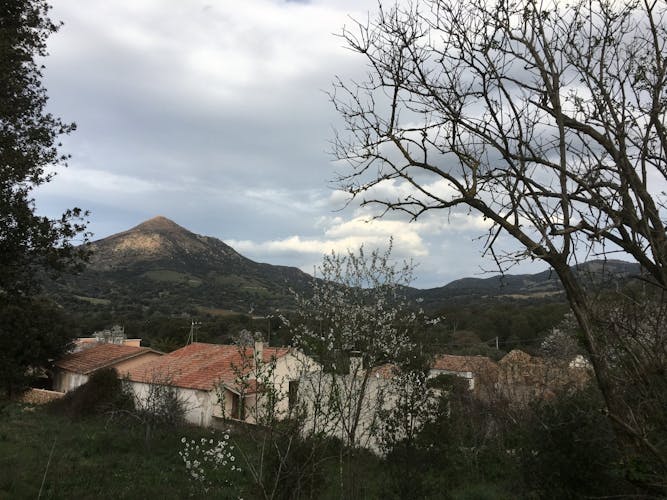 Sardinian pasta workshop and wine experience in an ancient village