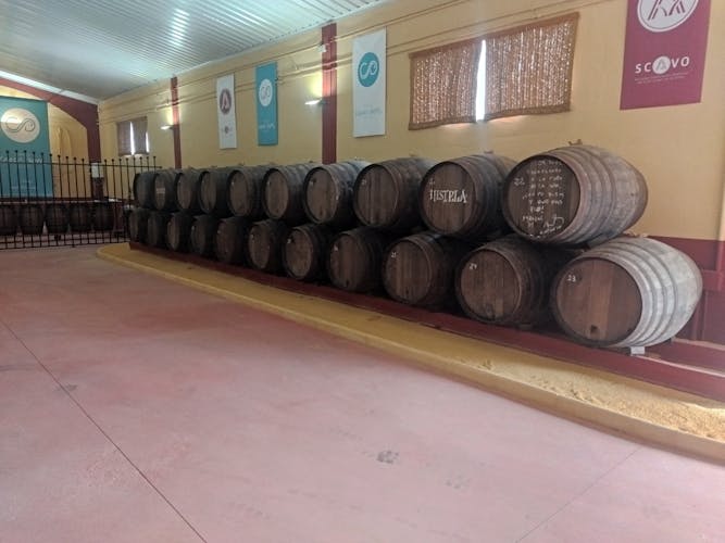 Winery and olive oil mill tour and tasting with tapas