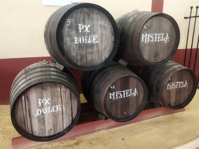 Winery and olive oil mill tour and tasting with tapas