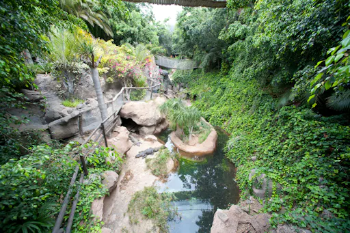 Jungle Park Entry Ticket