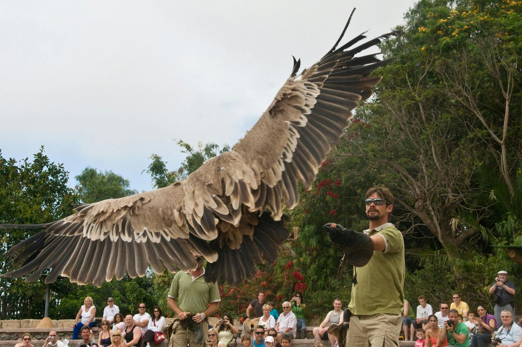 Jungle Park Entry Ticket