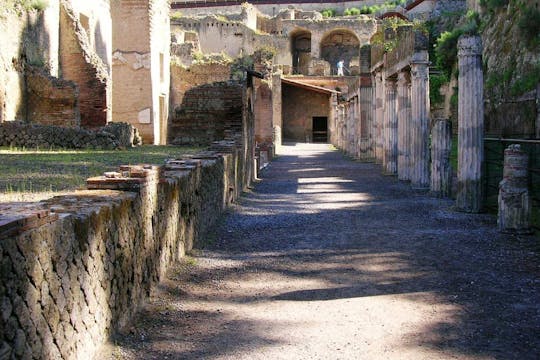 Ercolano ruins private tour