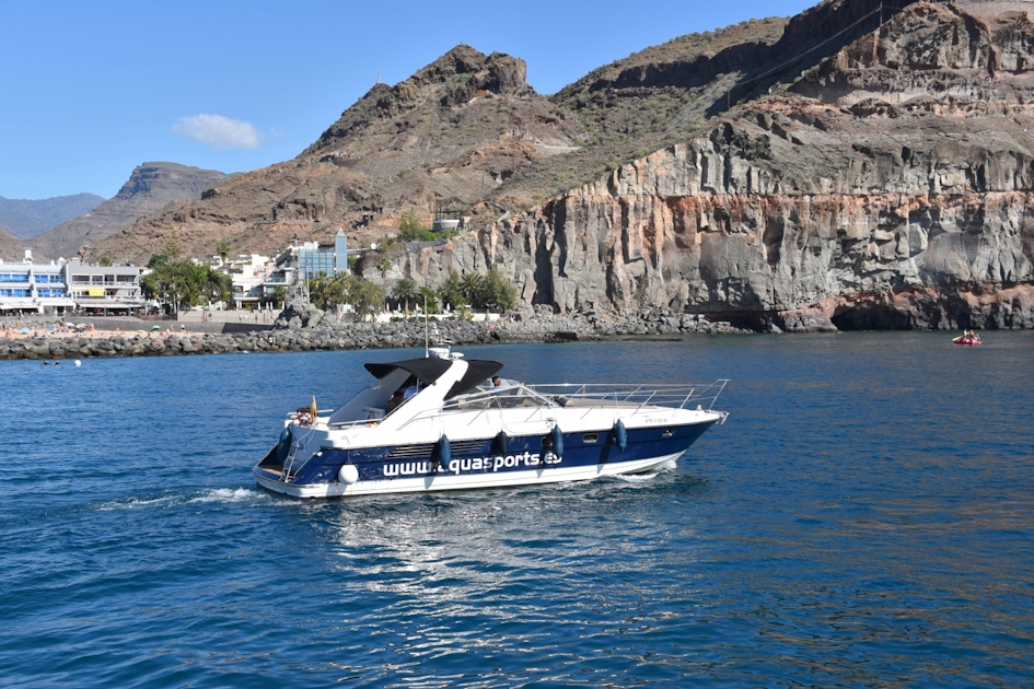 Southern Gran Canaria Private Yacht Charter | musement