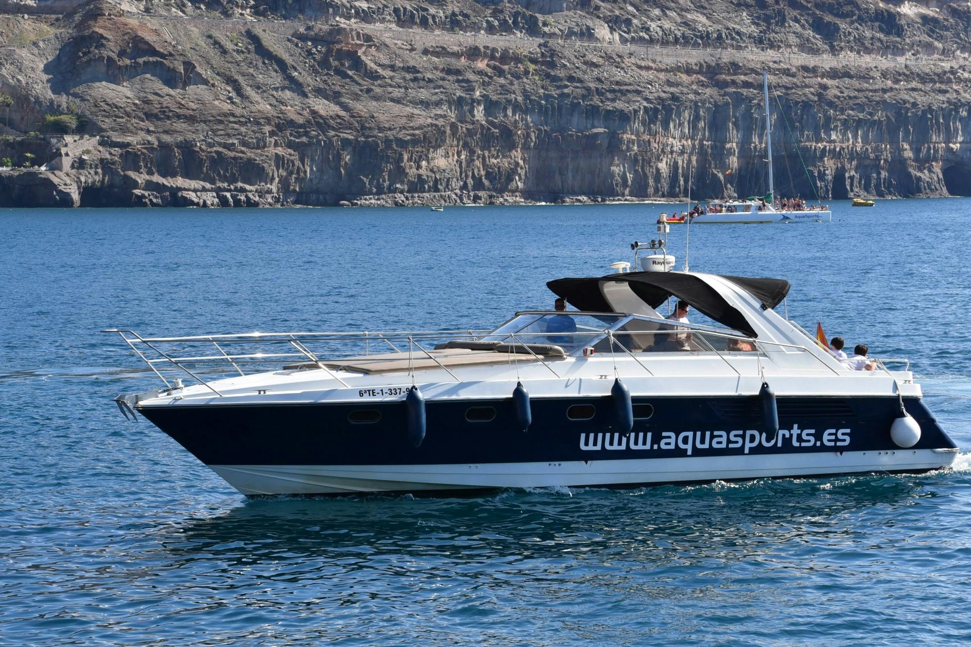 Southern Gran Canaria Private Yacht Charter