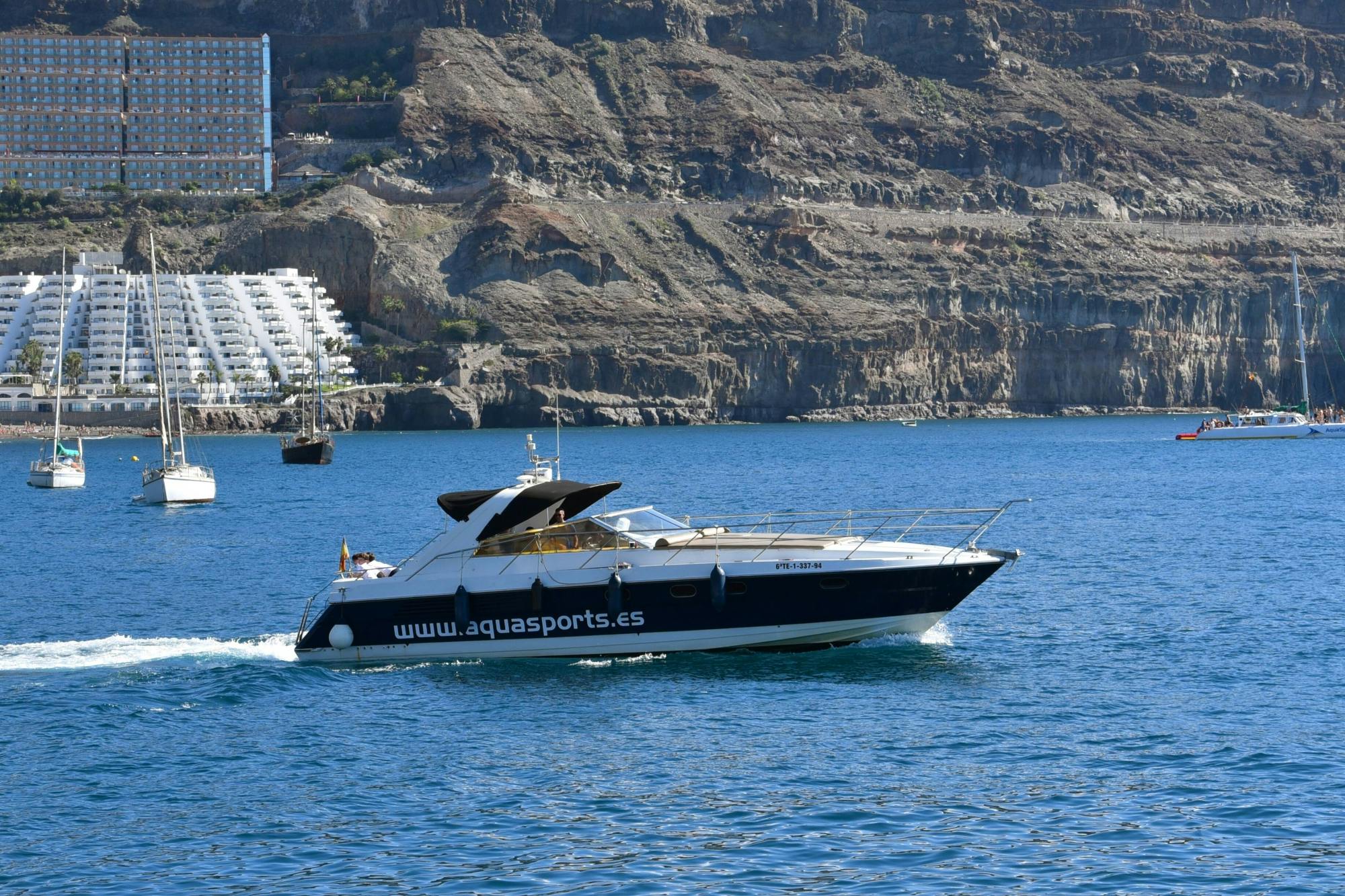 Southern Gran Canaria Private Yacht Charter