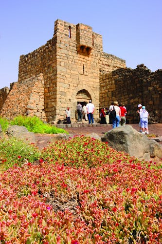 Half-day tour to Umayyad desert castles