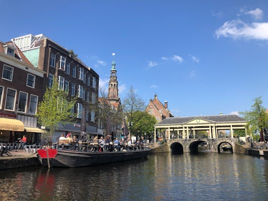 Gita giornaliera privata in quattro città dell'Olanda