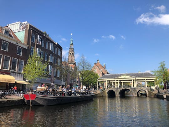 Excursión privada de un día a cuatro ciudades de Holanda