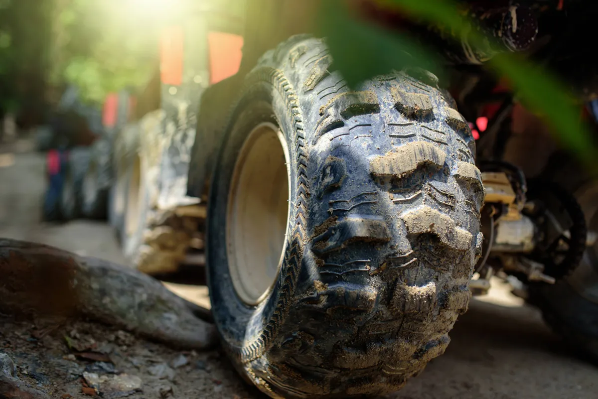 Jungle Kingdom Park Packages