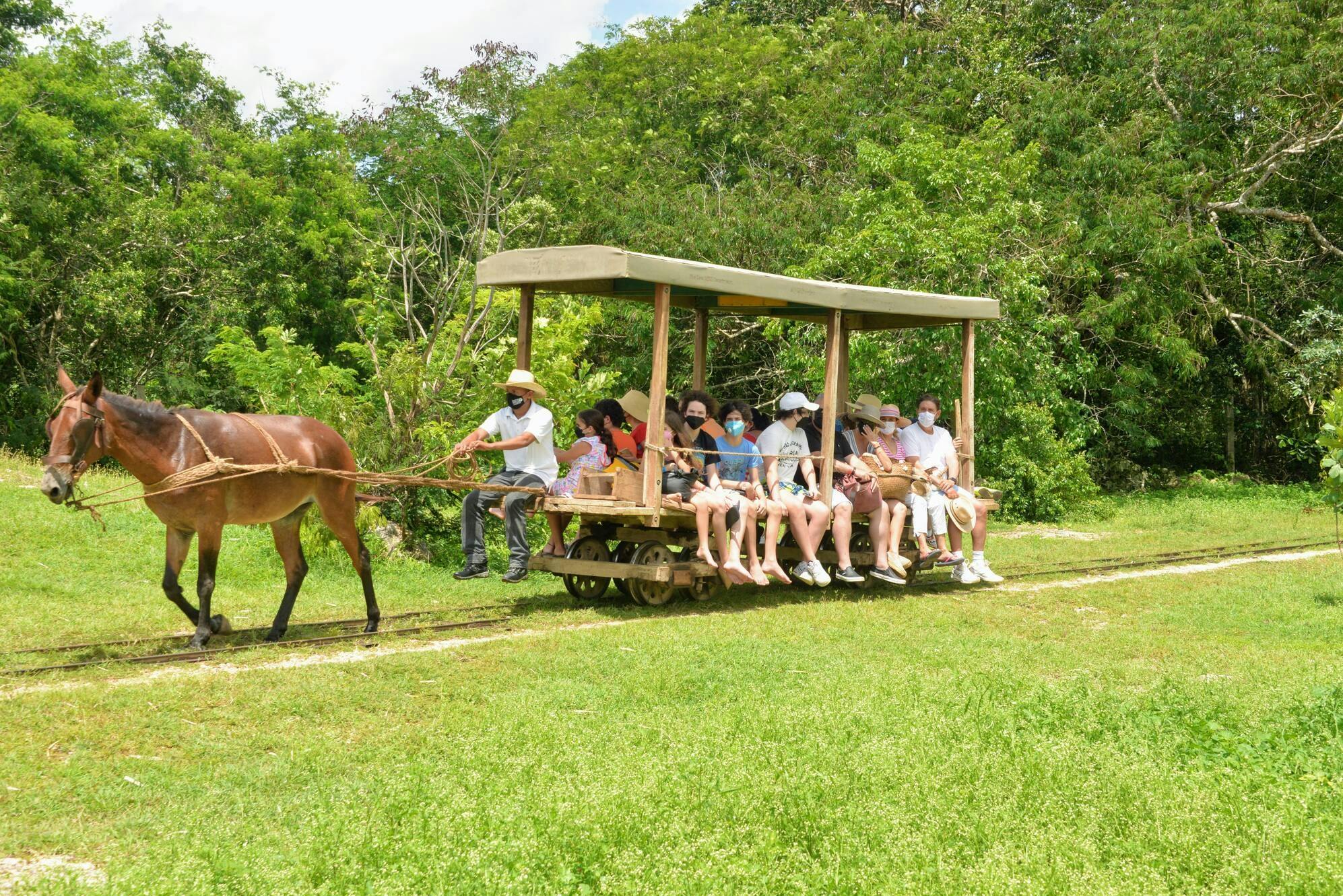 Henequen Plantation Estate Tour with Lunch