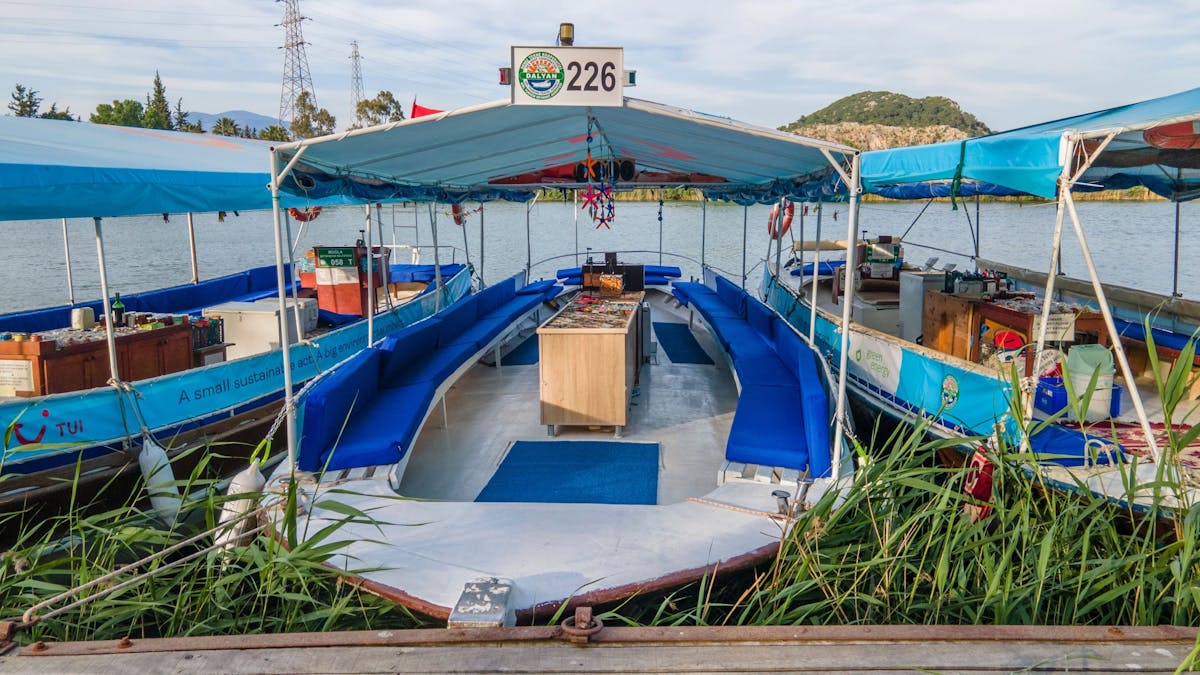 Dalyan River Boat Cruise to Iztuzu Beach with Lunch