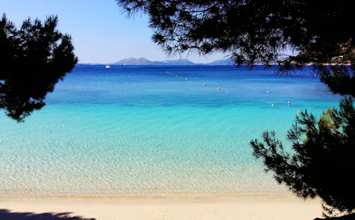 Farmers' Market and Formentor Tour from South of Majorca