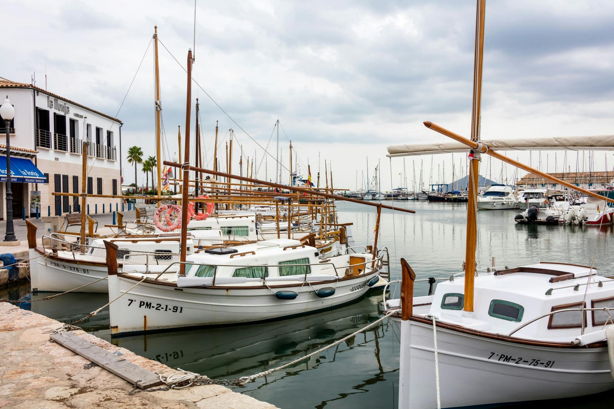 Farmers' Market and Formentor Tour from South of Majorca