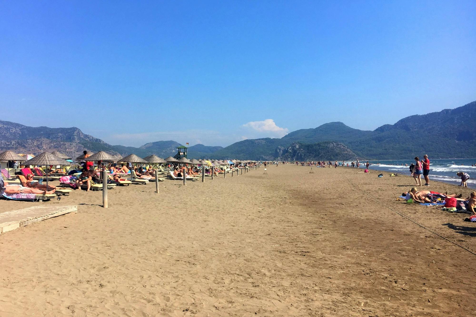 Dalyan River Boat Cruise to Iztuzu Beach with Lunch