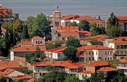 Kakheti wijnstreek groepsreis vanuit Tbilisi