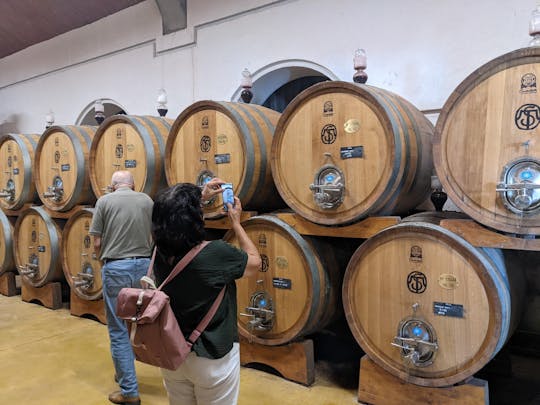 Esperienza in Valpolicella, visita guidata del vino e del pranzo dal Lago di Garda