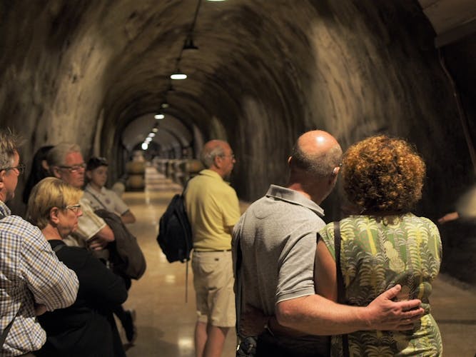 Valpolicella experience, wine and lunch guided tour from Lake Garda