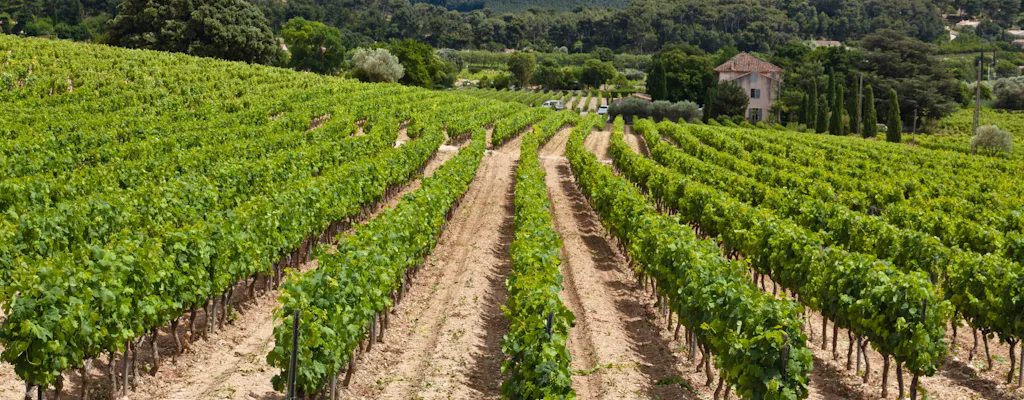 Nice wine tours