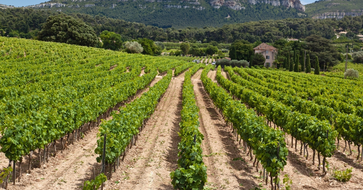 Nice wine Tours and Tickets