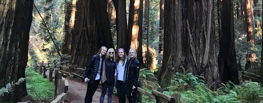 Tour privado de Muir Giant Redwoods y Sausalito en jeep descapotable