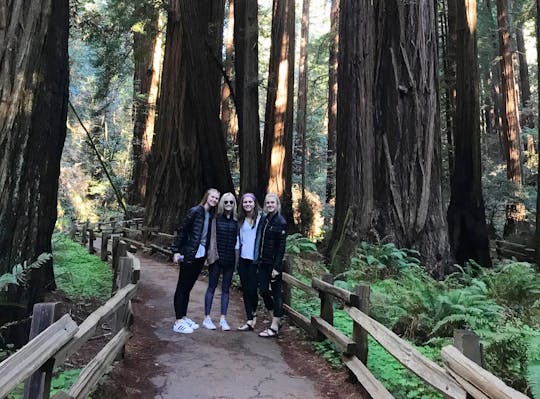 Excursão privada às sequoias gigantes de Muir e Sausalito em jipe aberto