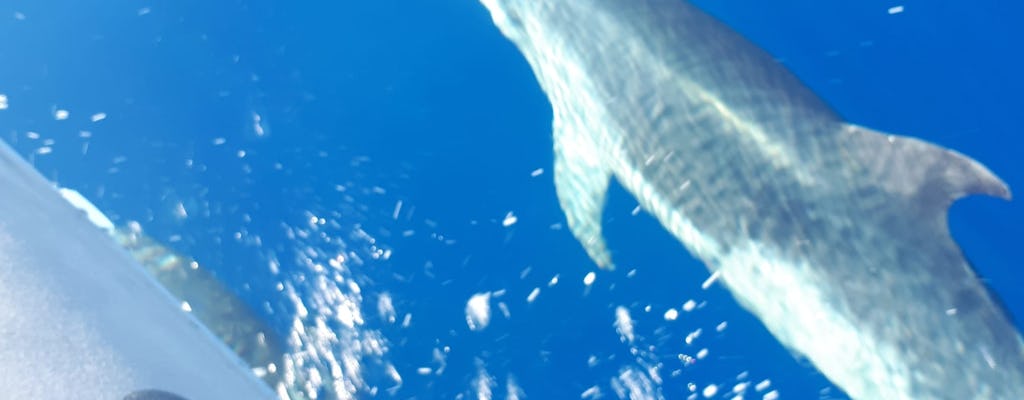 Doświadczenie skutera morskiego Bladefish z Puerto Colón