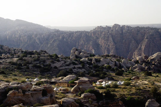 Full-day trip to Dana Biosphere Reserve with lunch (self-guided)