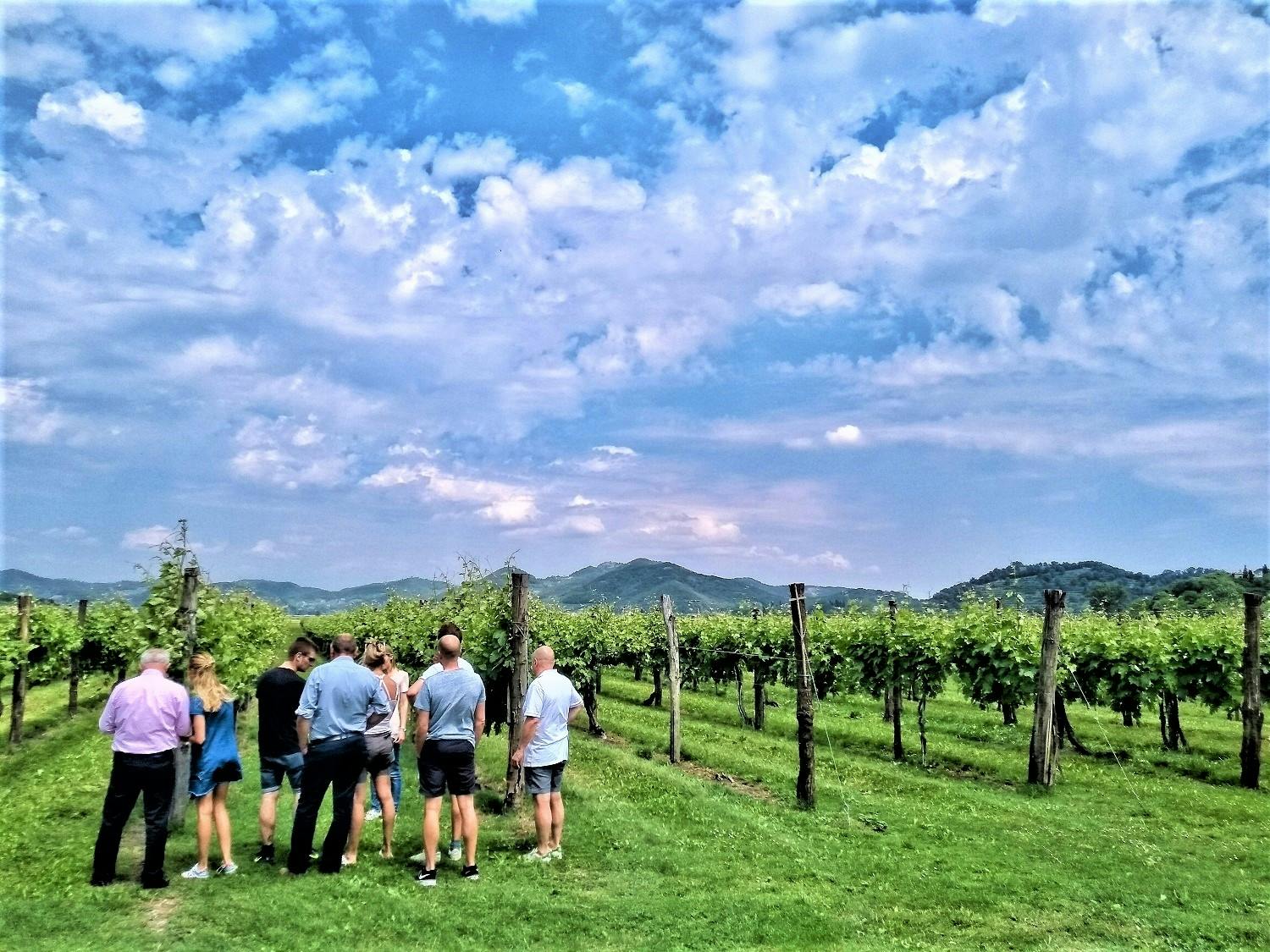 Von Venedig aus, Weintour in den Euganeischen Hügeln