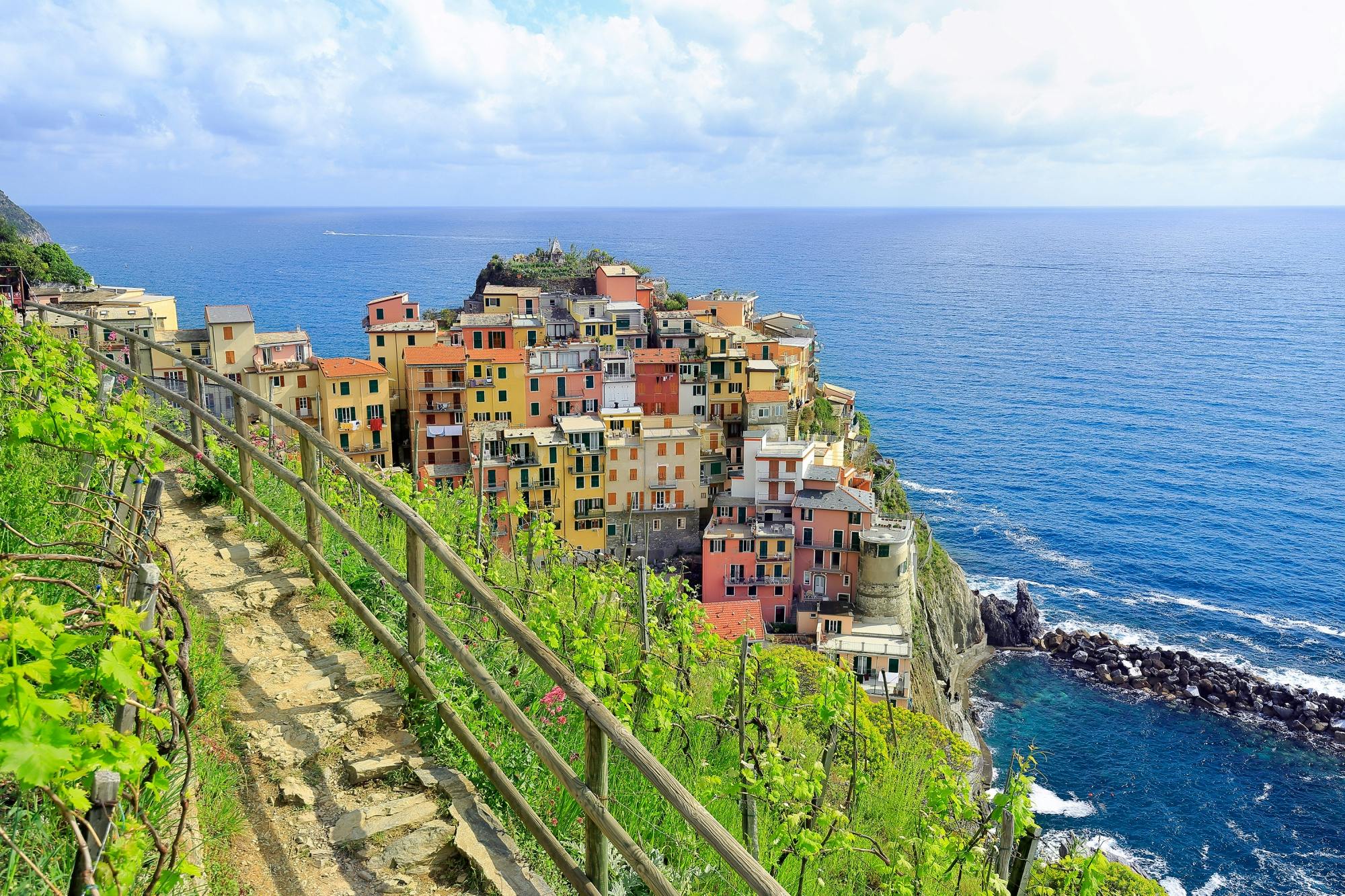 Manarola wine tasting and winery tour