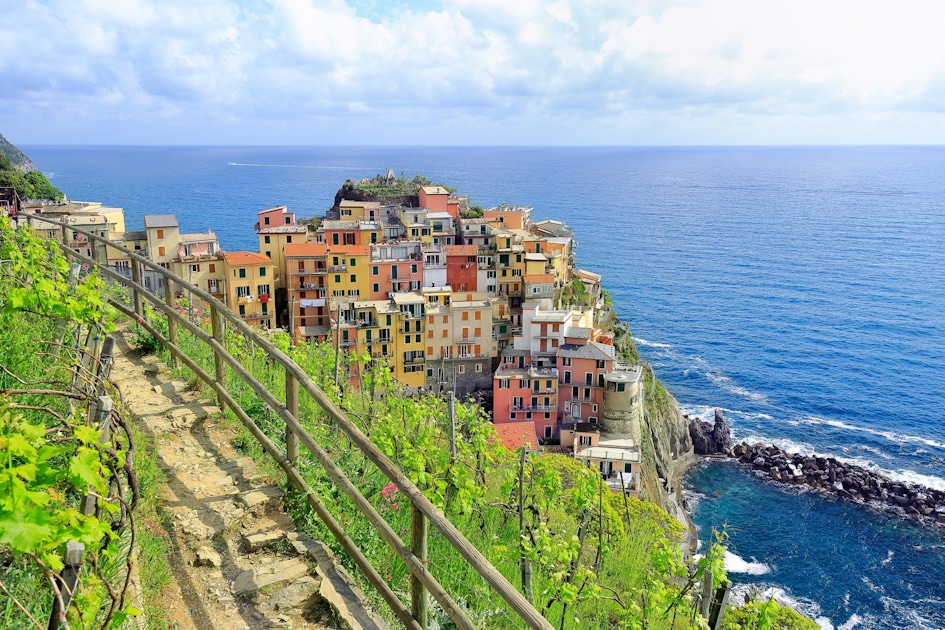 Manarola wine tasting and winery tour musement