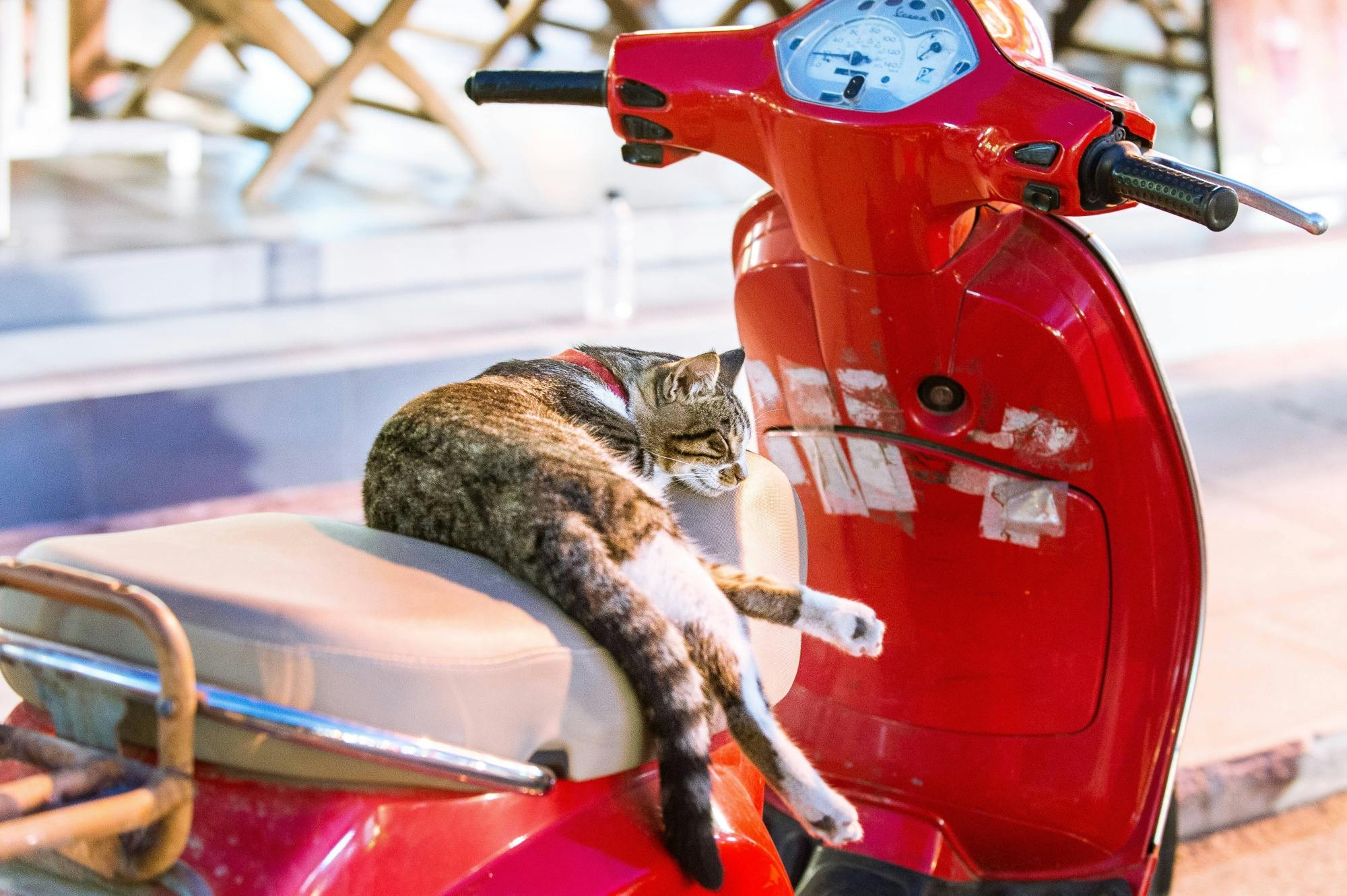 Photoshoot Tour of Zante with Professional Photographer