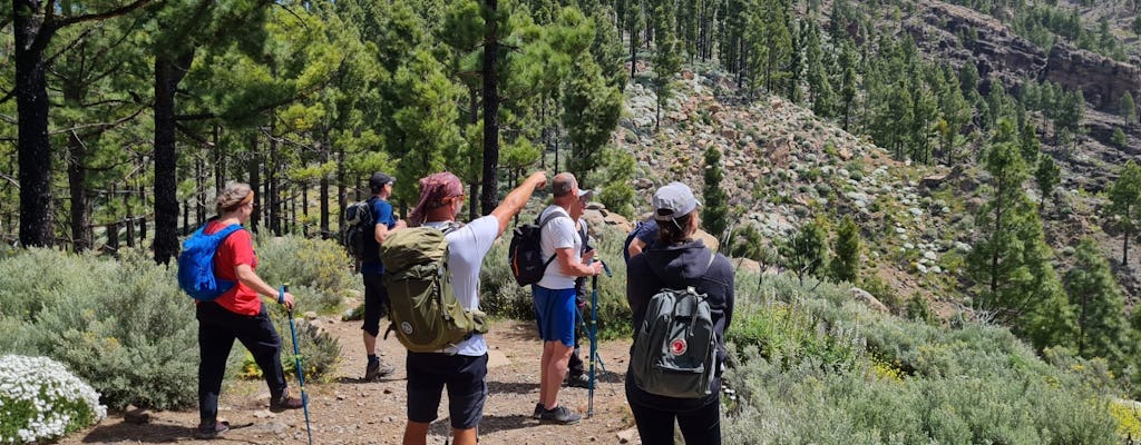 Gipfel von Gran Canaria: Ganztägige Wanderung mit Abholung und Mittagessen