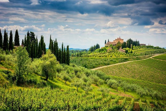 Tour do vinho Chianti Clássico