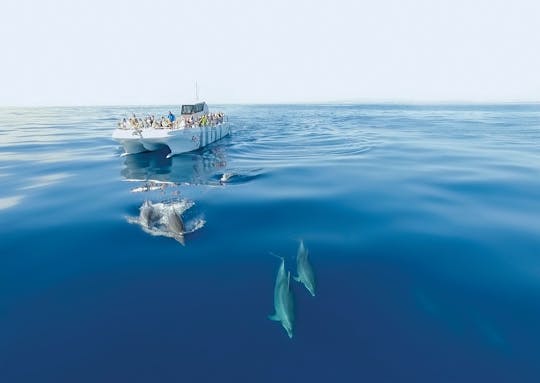 Observation des dauphins et excursion guidée en bateau dans les grottes de Benagil