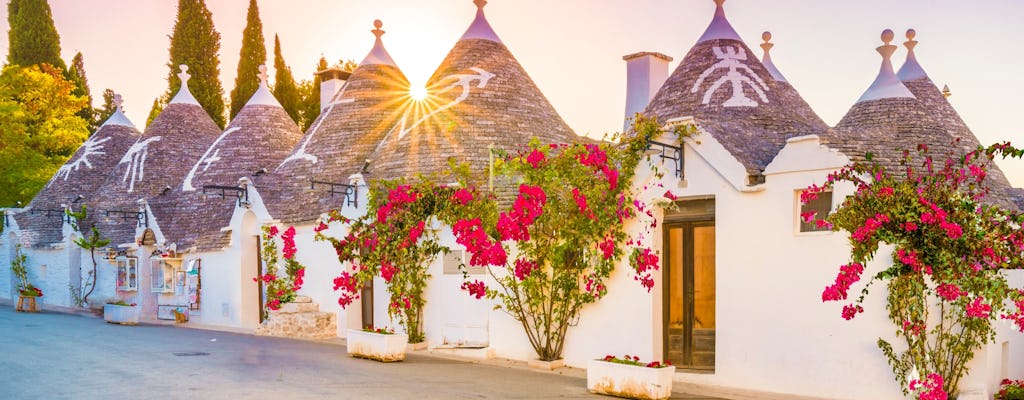 Alberobello and Bari guided private tour with transportation