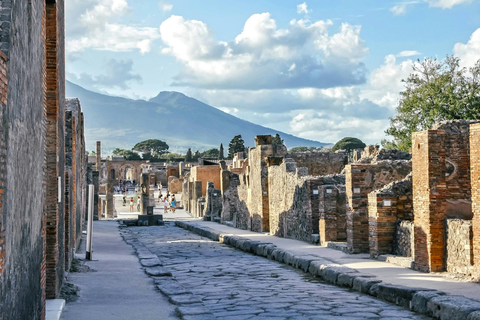 Pompeii & Herculaneum from Amalfi Coast