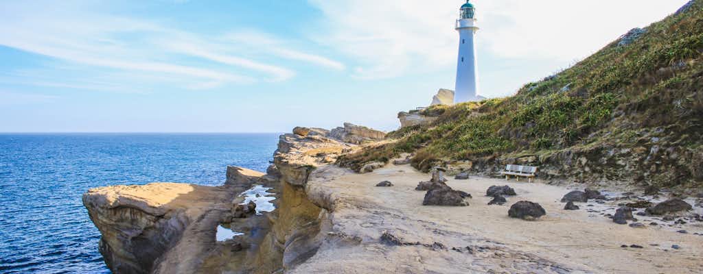 Ting at foretage sig i Masterton