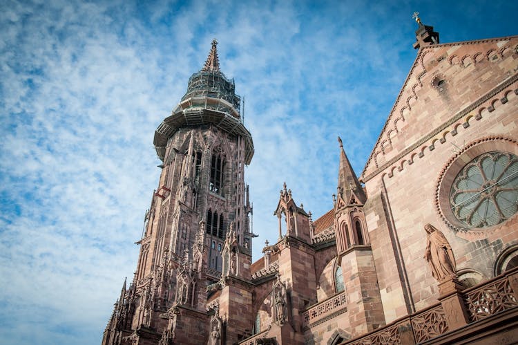 Photogenic Freiburg walking tour with a Local