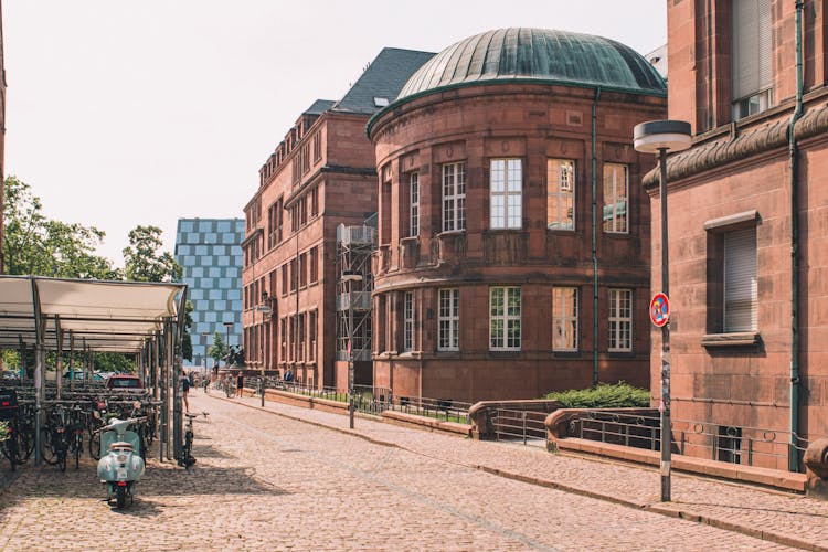 Photogenic Freiburg walking tour with a Local