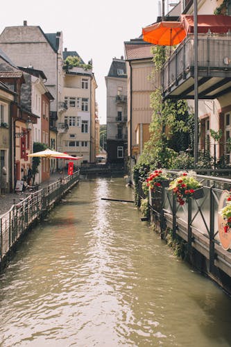 Photogenic Freiburg walking tour with a Local