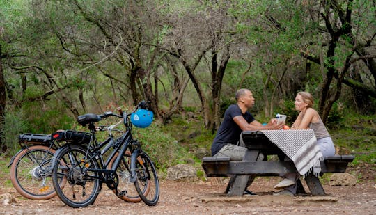 Alquiler de bicicletas eléctricas en Niza