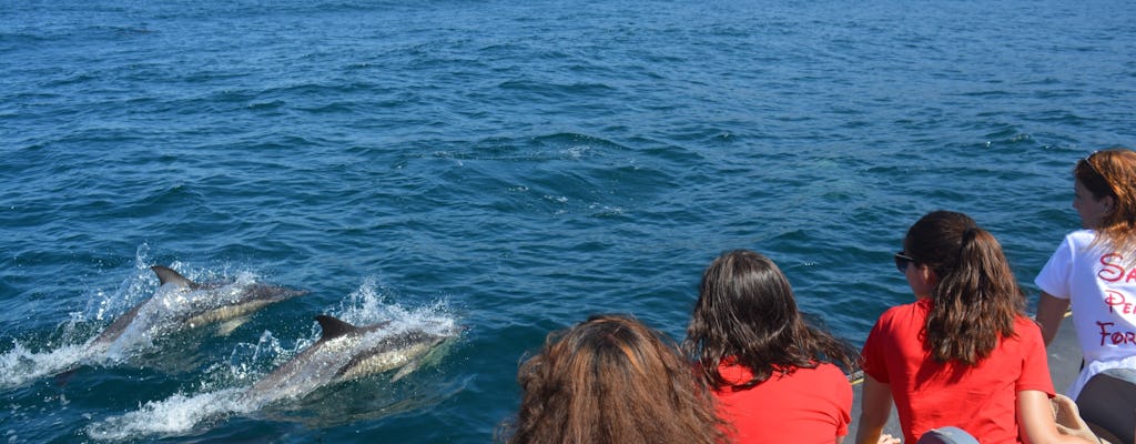 Passeio de barco com observação de golfinhos em Sesimbra