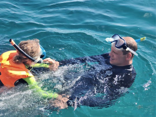 Snorkeling experience in Arrábida's secluded bays