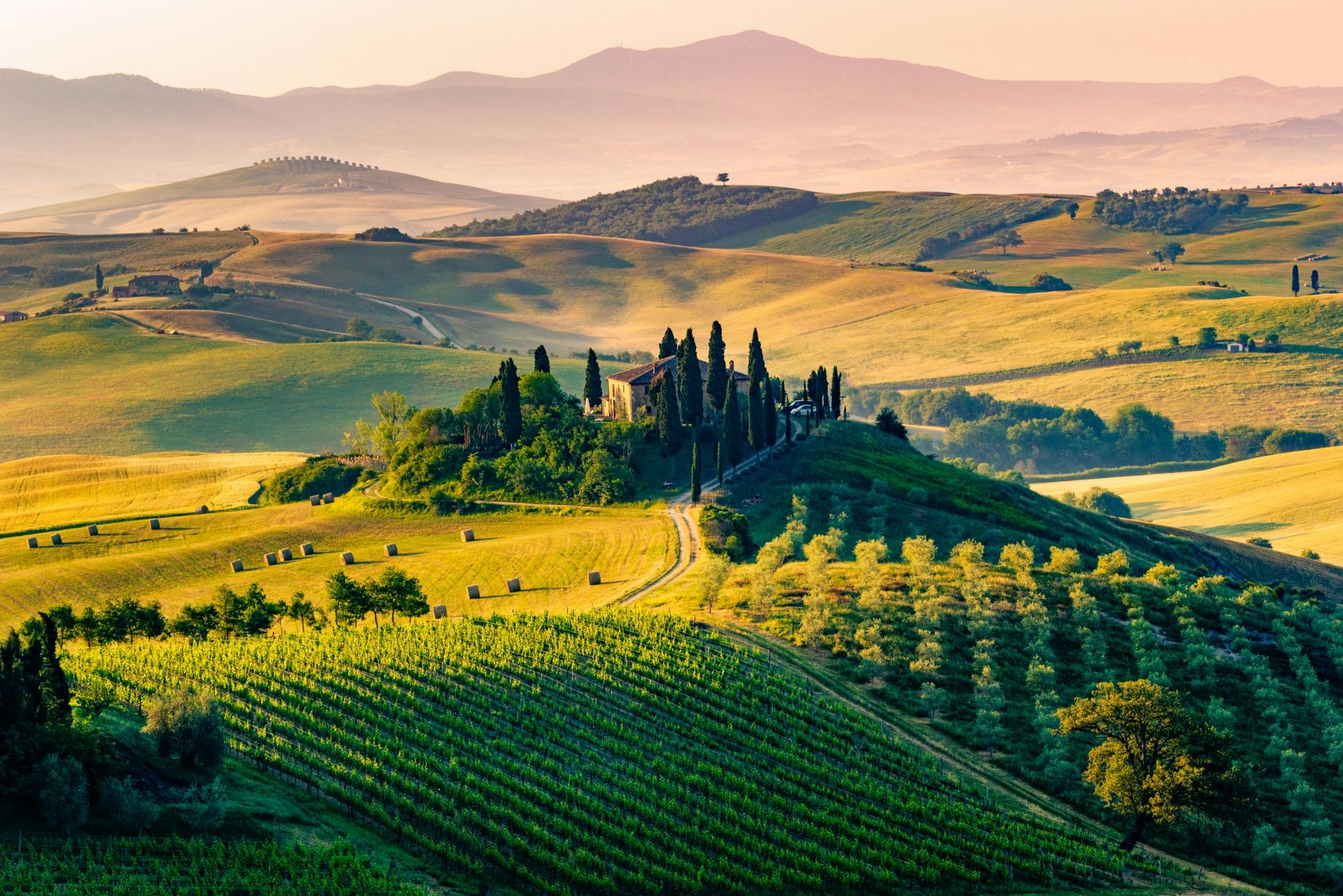 Private day trip to Val d'Orcia